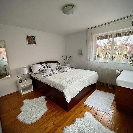 Ada-Ini House Villa Craiova Exteriör bild